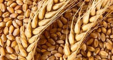 Commodity Image