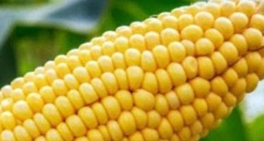 Commodity Image