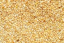 Commodity Image