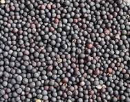 Commodity Image