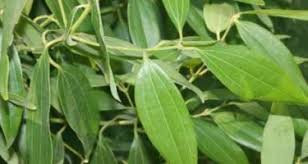 Commodity Image