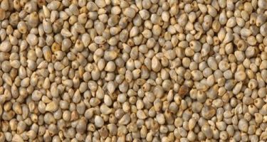 Commodity Image