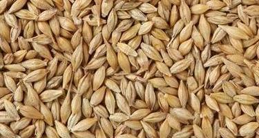 Commodity Image