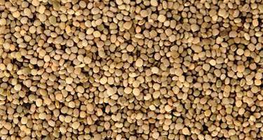 Commodity Image