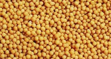 Commodity Image
