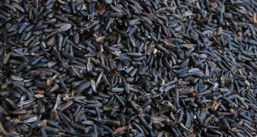 Commodity Image