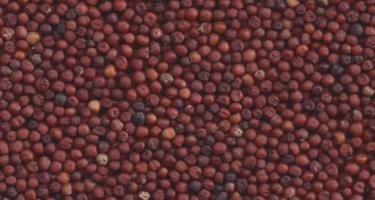 Commodity Image