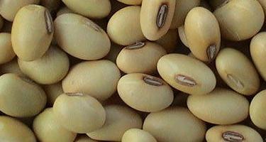Commodity Image