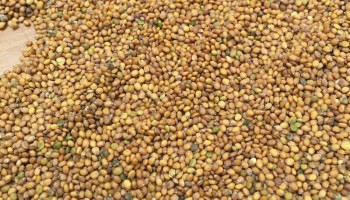 Commodity Image