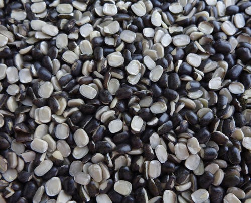 Urad