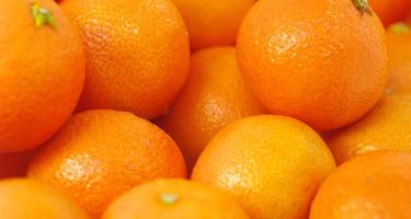 What's the difference between orange and kinnow